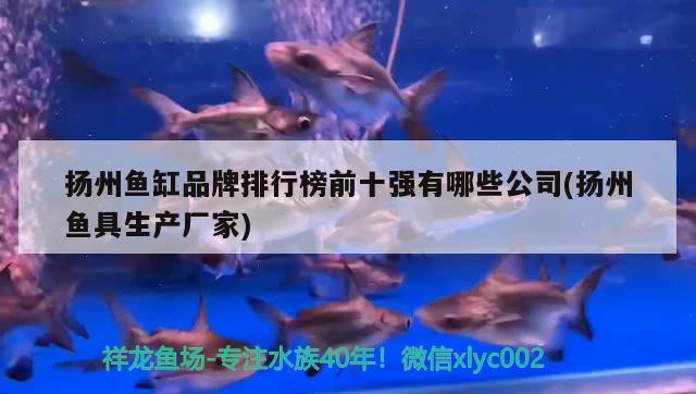 揚州魚缸品牌排行榜前十強有哪些公司(揚州魚具生產(chǎn)廠家)