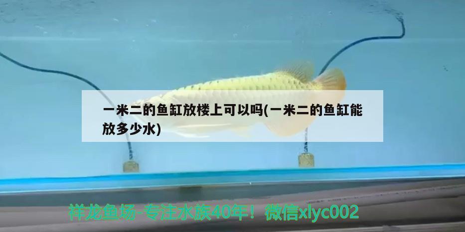 一米二的魚(yú)缸放樓上可以嗎(一米二的魚(yú)缸能放多少水)