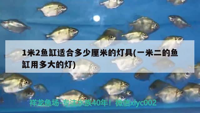 1米2魚(yú)缸適合多少厘米的燈具(一米二的魚(yú)缸用多大的燈) 圖騰金龍魚(yú)