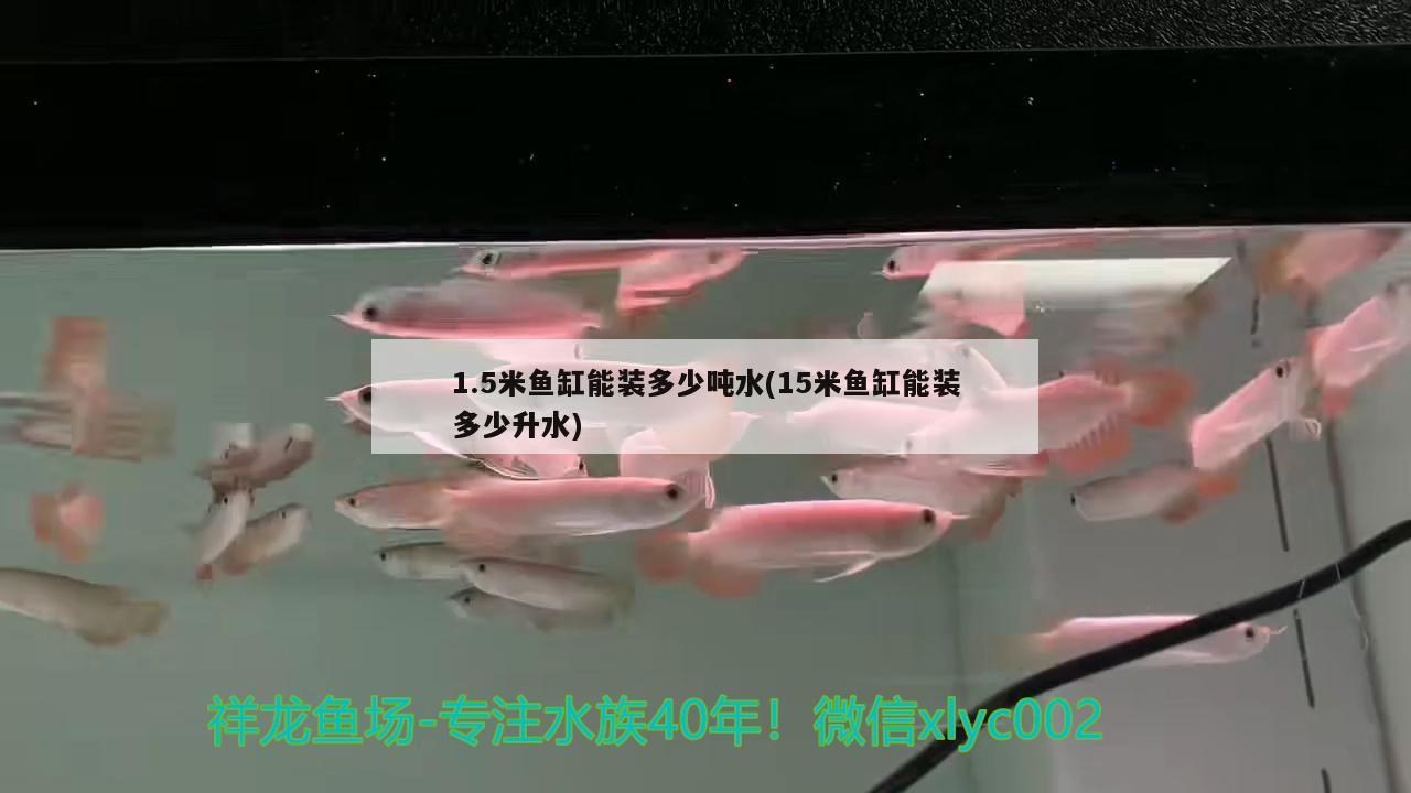 1.5米魚缸能裝多少噸水(15米魚缸能裝多少升水) 雙線側魚