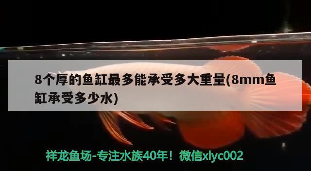 8個(gè)厚的魚缸最多能承受多大重量(8mm魚缸承受多少水) 喂食器