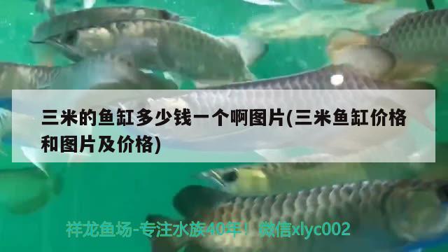 三米的魚缸多少錢一個啊圖片(三米魚缸價格和圖片及價格)