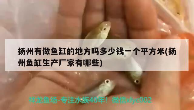 揚(yáng)州有做魚缸的地方嗎多少錢一個(gè)平方米(揚(yáng)州魚缸生產(chǎn)廠家有哪些)