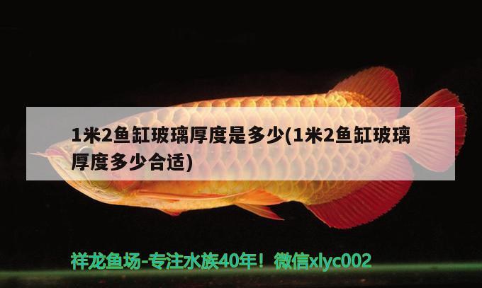 1米2魚缸玻璃厚度是多少(1米2魚缸玻璃厚度多少合適)