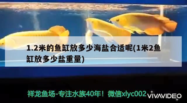 1.2米的魚(yú)缸放多少海鹽合適呢(1米2魚(yú)缸放多少鹽重量)