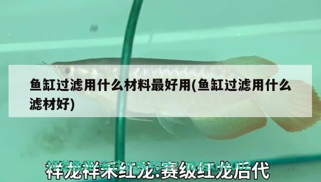 魚(yú)缸過(guò)濾用什么材料最好用(魚(yú)缸過(guò)濾用什么濾材好) 祥禾Super Red紅龍魚(yú)