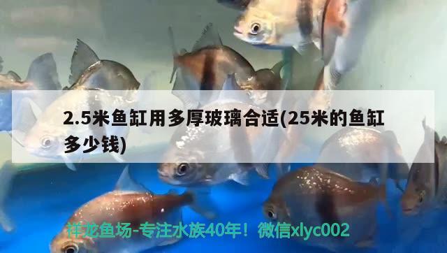 2.5米魚(yú)缸用多厚玻璃合適(25米的魚(yú)缸多少錢(qián))