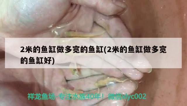 2米的魚缸做多寬的魚缸(2米的魚缸做多寬的魚缸好)