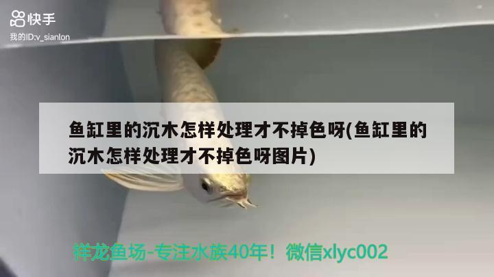 魚缸里的沉木怎樣處理才不掉色呀(魚缸里的沉木怎樣處理才不掉色呀圖片)