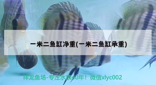 一米二魚(yú)缸凈重(一米二魚(yú)缸承重) 大白鯊魚(yú)