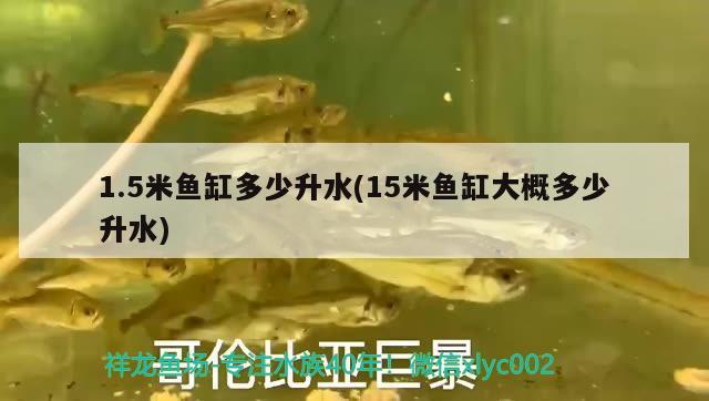 1.5米魚缸多少升水(15米魚缸大概多少升水) 賽級紅龍魚 第2張