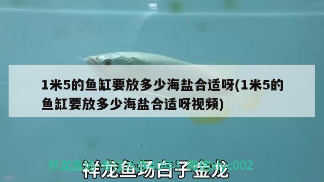 1米5的魚缸要放多少海鹽合適呀(1米5的魚缸要放多少海鹽合適呀視頻)