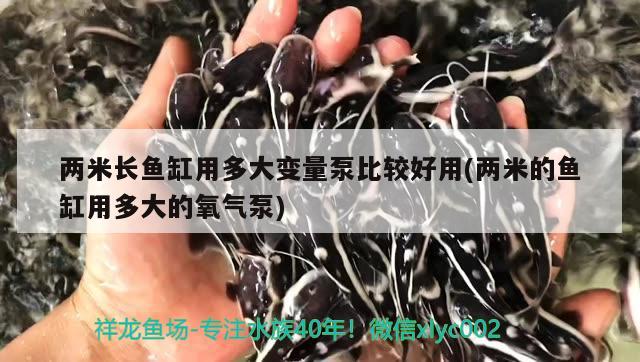 兩米長魚缸用多大變量泵比較好用(兩米的魚缸用多大的氧氣泵)