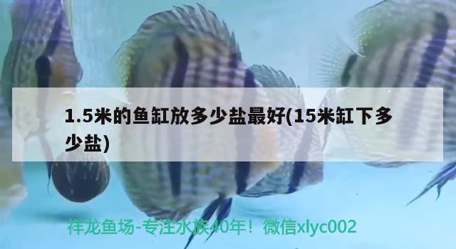 1.5米的魚缸放多少鹽最好(15米缸下多少鹽) 祥龍水族護理水