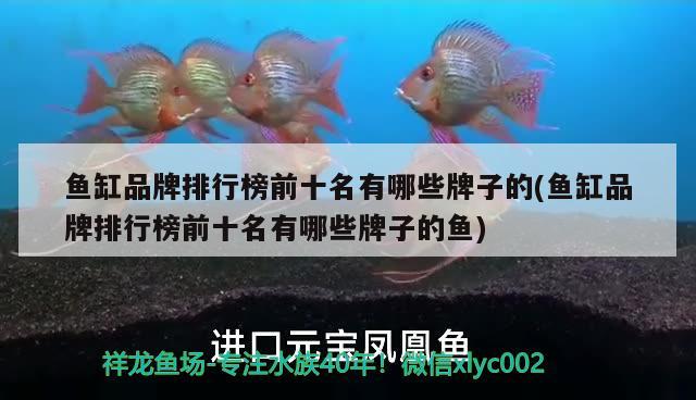 魚缸品牌排行榜前十名有哪些牌子的(魚缸品牌排行榜前十名有哪些牌子的魚)