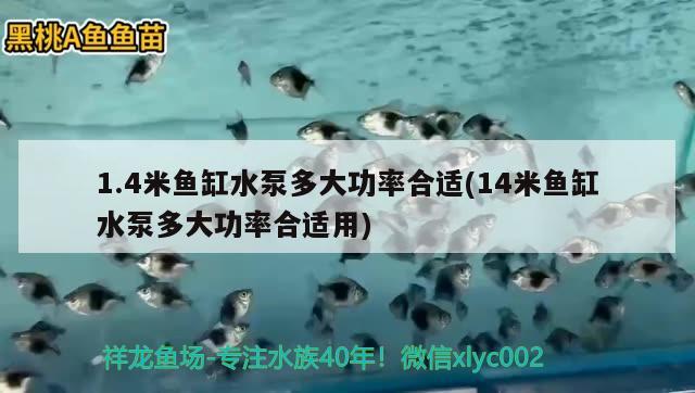 1.4米魚缸水泵多大功率合適(14米魚缸水泵多大功率合適用) 魚缸水泵 第2張