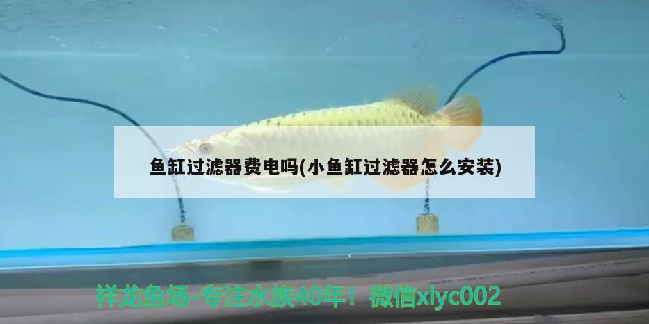 魚缸過濾器費(fèi)電嗎(小魚缸過濾器怎么安裝)