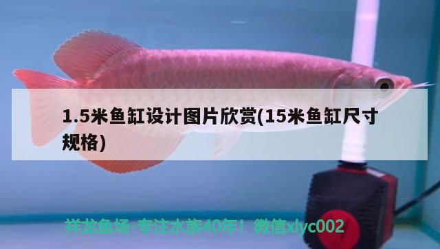 1.5米魚缸設(shè)計(jì)圖片欣賞(15米魚缸尺寸規(guī)格)