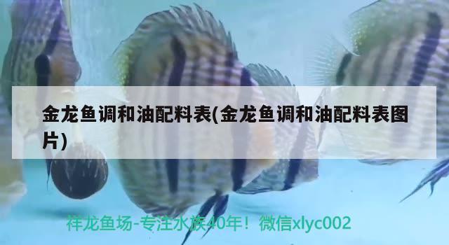 金龍魚調(diào)和油配料表(金龍魚調(diào)和油配料表圖片) 觀賞魚