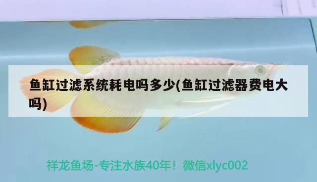 魚缸過濾系統(tǒng)耗電嗎多少(魚缸過濾器費電大嗎) 白子銀版魚苗