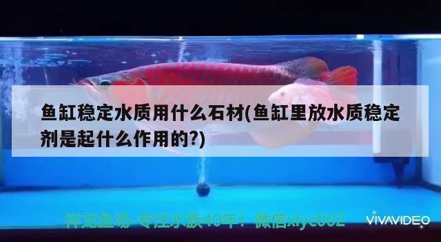 魚(yú)缸穩(wěn)定水質(zhì)用什么石材(魚(yú)缸里放水質(zhì)穩(wěn)定劑是起什么作用的?)