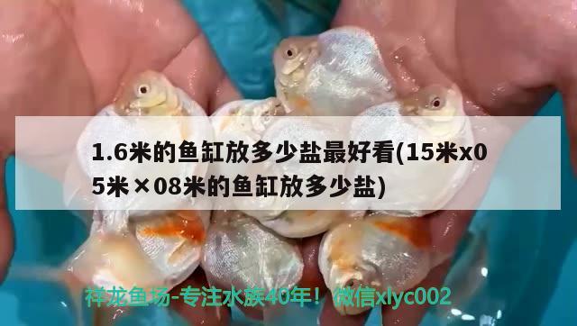 1.6米的魚缸放多少鹽最好看(15米x05米×08米的魚缸放多少鹽)