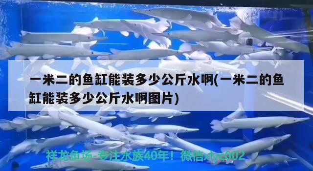 一米二的魚(yú)缸能裝多少公斤水啊(一米二的魚(yú)缸能裝多少公斤水啊圖片)