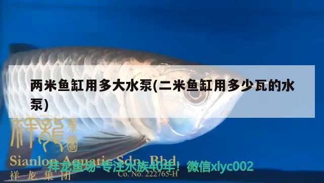 兩米魚缸用多大水泵(二米魚缸用多少瓦的水泵)