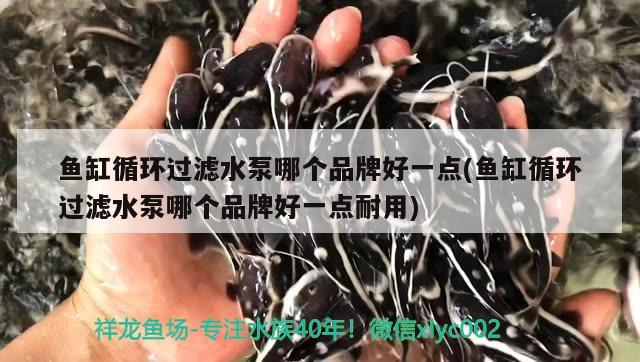 魚缸循環(huán)過濾水泵哪個品牌好一點(魚缸循環(huán)過濾水泵哪個品牌好一點耐用)