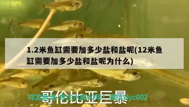 1.2米魚缸需要加多少鹽和鹽呢(12米魚缸需要加多少鹽和鹽呢為什么)