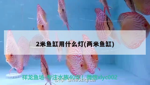 2米魚缸用什么燈(兩米魚缸)