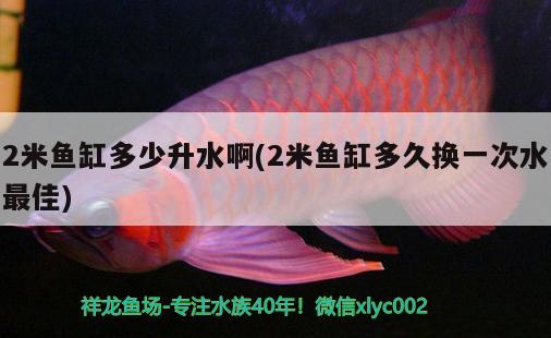 2米魚(yú)缸多少升水啊(2米魚(yú)缸多久換一次水最佳) 廣州水族批發(fā)市場(chǎng)