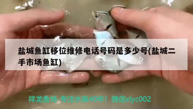 鹽城魚缸移位維修電話號碼是多少號(鹽城二手市場魚缸) 羅漢魚批發(fā)