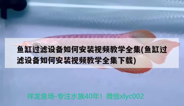 魚缸過濾設備如何安裝視頻教學全集(魚缸過濾設備如何安裝視頻教學全集下載) 過濾設備