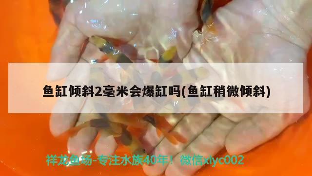 魚缸傾斜2毫米會(huì)爆缸嗎(魚缸稍微傾斜)