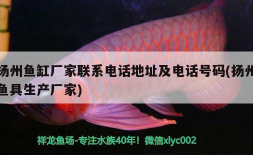 揚(yáng)州魚缸廠家聯(lián)系電話地址及電話號碼(揚(yáng)州魚具生產(chǎn)廠家)