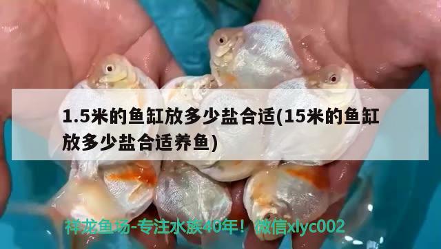 1.5米的魚(yú)缸放多少鹽合適(15米的魚(yú)缸放多少鹽合適養(yǎng)魚(yú)) 杰西卡恐龍魚(yú)