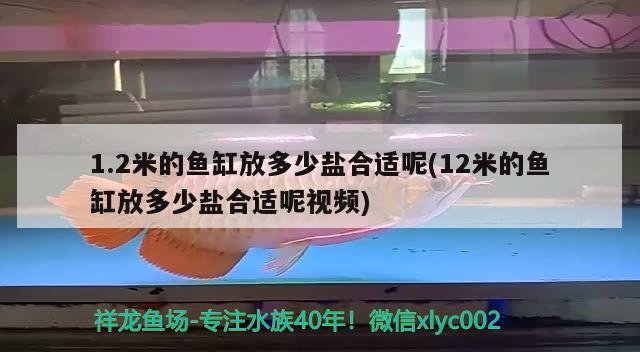 1.2米的魚(yú)缸放多少鹽合適呢(12米的魚(yú)缸放多少鹽合適呢視頻) 電鰻