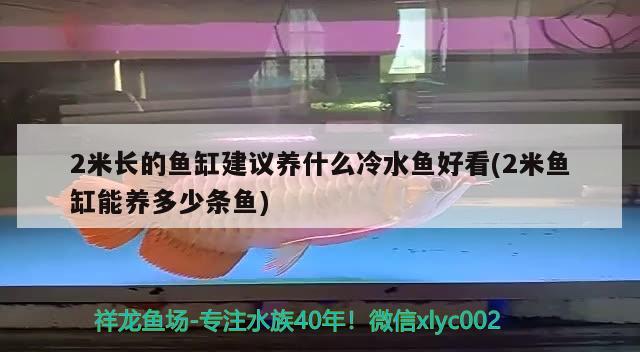 2米長的魚缸建議養(yǎng)什么冷水魚好看(2米魚缸能養(yǎng)多少條魚) 熊貓異形魚L46