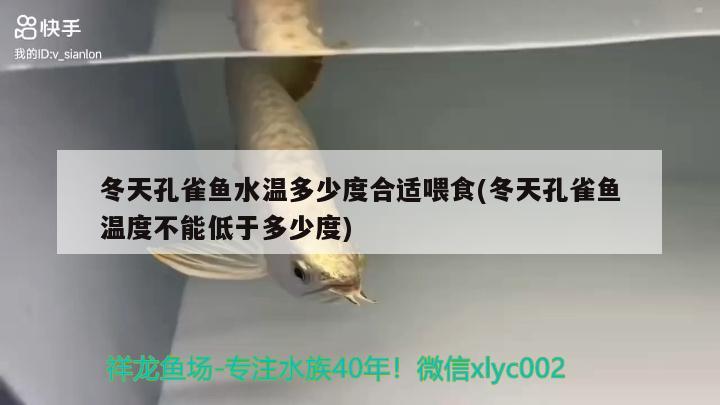 冬天孔雀魚水溫多少度合適喂食(冬天孔雀魚溫度不能低于多少度)