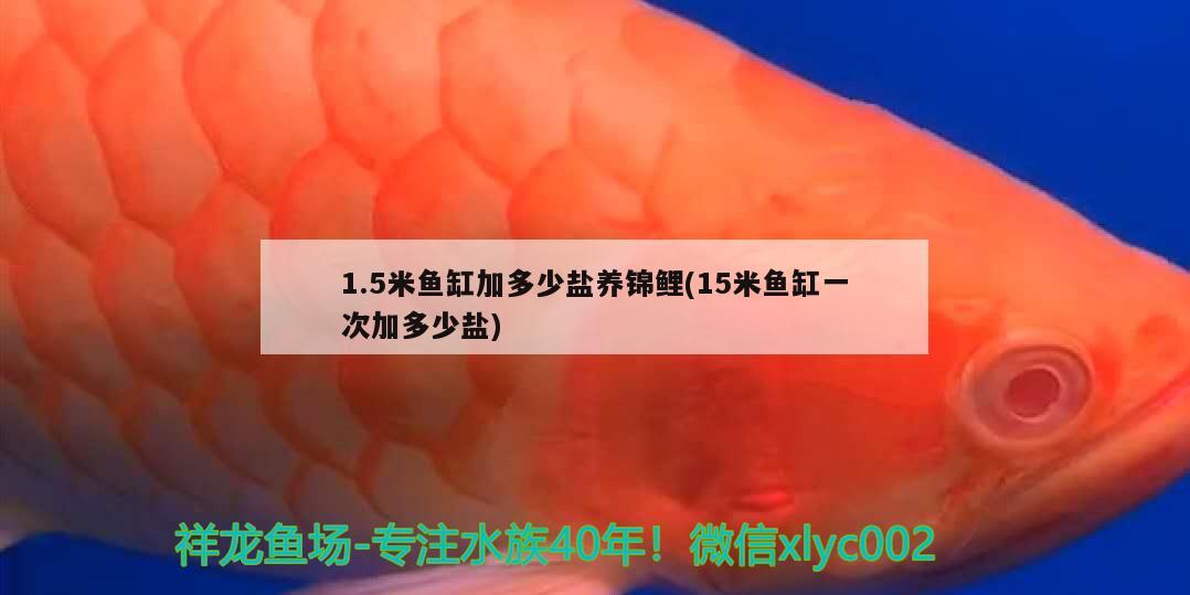 1.5米魚缸加多少鹽養(yǎng)錦鯉(15米魚缸一次加多少鹽)