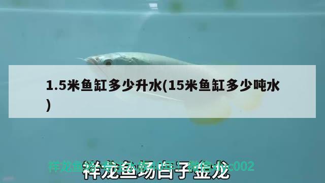 1.5米魚缸多少升水(15米魚缸多少噸水) 廣州水族批發(fā)市場(chǎng)