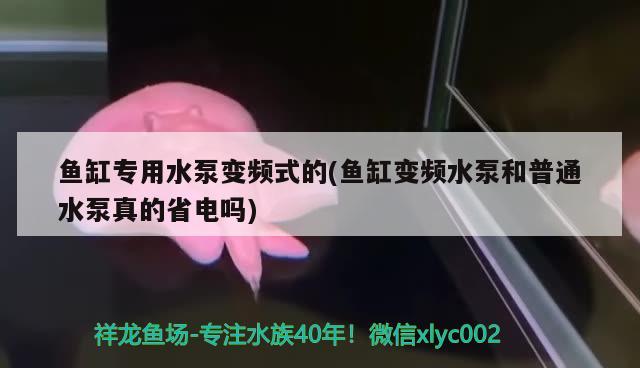 魚缸專用水泵變頻式的(魚缸變頻水泵和普通水泵真的省電嗎) 粗線銀版魚