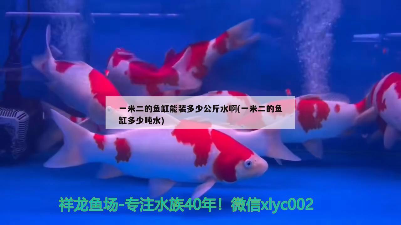 一米二的魚(yú)缸能裝多少公斤水啊(一米二的魚(yú)缸多少噸水)