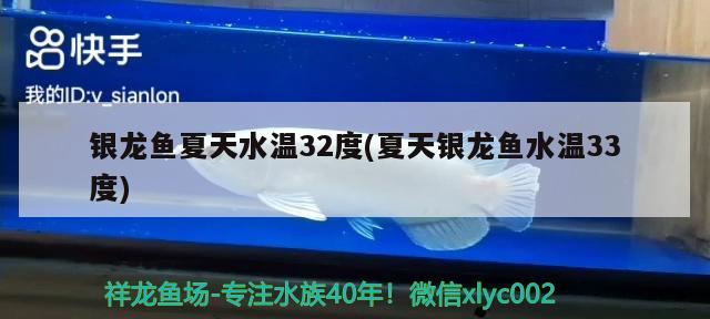 銀龍魚(yú)夏天水溫32度(夏天銀龍魚(yú)水溫33度) 銀龍魚(yú)