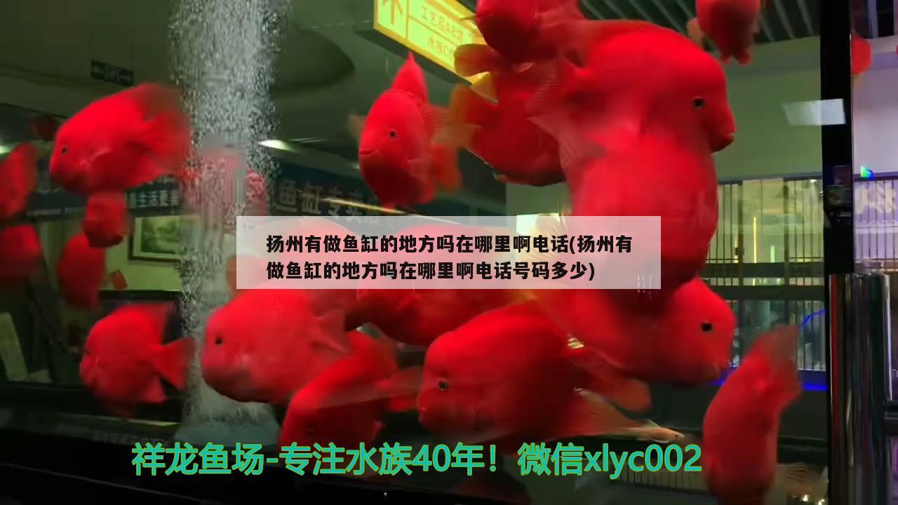 揚州有做魚缸的地方嗎在哪里啊電話(揚州有做魚缸的地方嗎在哪里啊電話號碼多少)