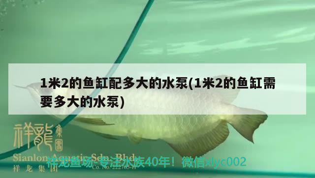 1米2的魚缸配多大的水泵(1米2的魚缸需要多大的水泵)