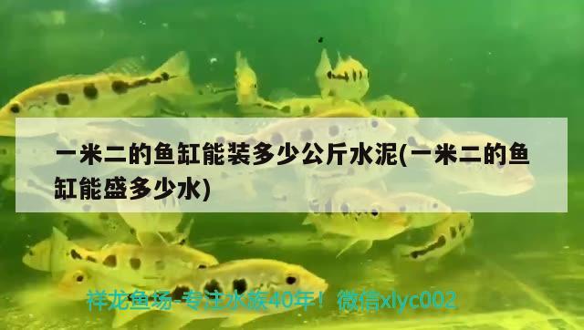 一米二的魚缸能裝多少公斤水泥(一米二的魚缸能盛多少水)