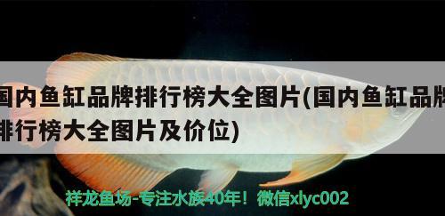 國內(nèi)魚缸品牌排行榜大全圖片(國內(nèi)魚缸品牌排行榜大全圖片及價位)