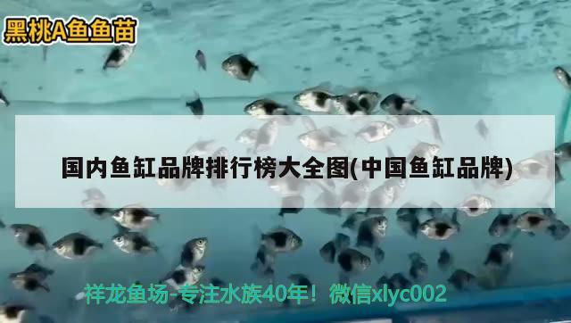 國內魚缸品牌排行榜大全圖(中國魚缸品牌) 錦鯉池魚池建設